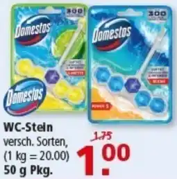 Multi Markt Domestos WC-Stein Angebot