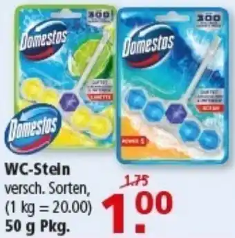 Multi Markt Domestos WC-Stein Angebot