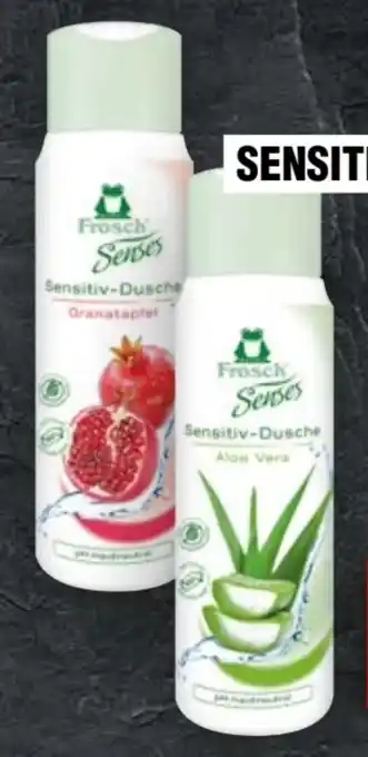 Handelshof Frosch Sensitiv-Dusche Angebot