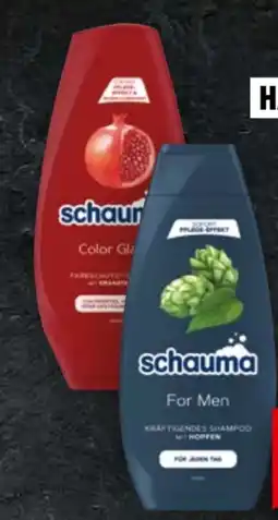 Handelshof Schwarzkopf Schauma Haarpflege Angebot