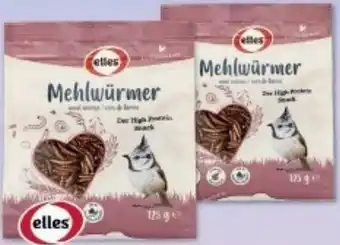 Multi Markt elles Mehlwürmer Angebot