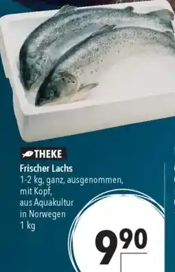 CITTI Markt Frischer Lachs Angebot