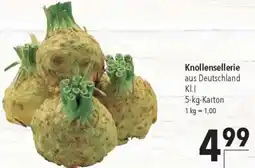 CITTI Markt Knollensellerie Angebot