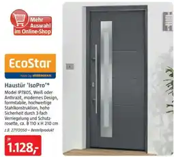 Bauhaus EcoStar Haustür 'IsoPro' Angebot