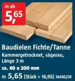 Bauhaus Baudielen Fichte/Tanne Angebot