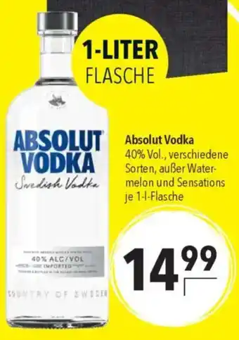 CITTI Markt Absolut Vodka Angebot