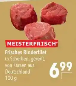 CITTI Markt MEISTERFRISCH Frisches Rinderfilet Angebot