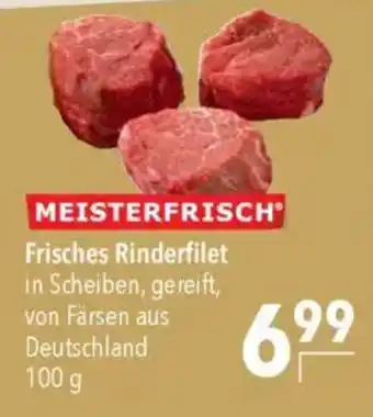 CITTI Markt MEISTERFRISCH Frisches Rinderfilet Angebot