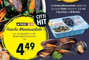 CITTI Markt Frische Miesmuscheln Angebot
