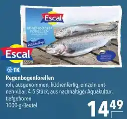 CITTI Markt Escal Regenbogenforellen Angebot
