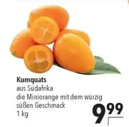 CITTI Markt Kumquats Angebot
