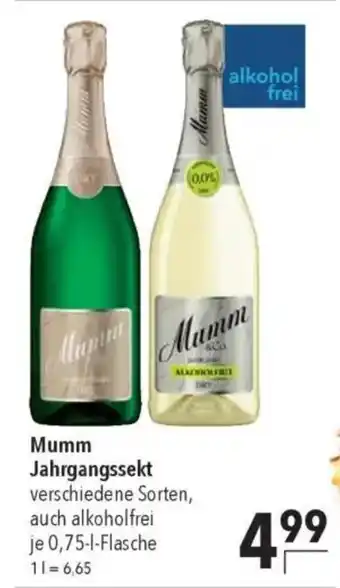 CITTI Markt Mumm Jahrgangssekt Angebot