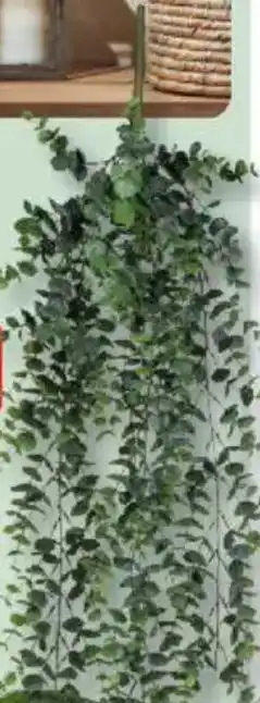 Bauhaus Eukalyptus Angebot