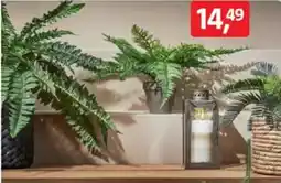 Bauhaus Farn Angebot