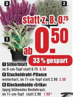 B1 Discount Baumarkt Silberblatt Angebot