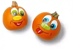 Kaufland Kürbis Angebot