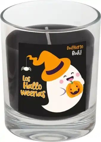 Kaufland Steinhart Kerzen Duftglas Angebot