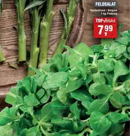 Handelshof Feldsalat Angebot