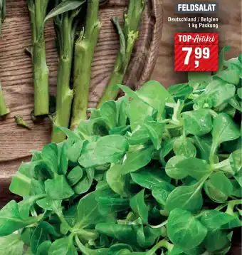 Handelshof Feldsalat Angebot