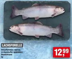 Handelshof Lachsforelle Angebot