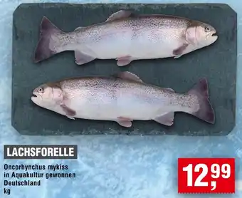 Handelshof Lachsforelle Angebot