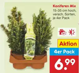 Netto Marken-Discount Koniferen mix Angebot