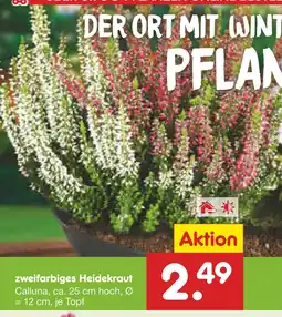 Netto Marken-Discount Zweifarbiges heidekraut Angebot