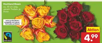 Netto Marken-Discount Hochland rosen Angebot