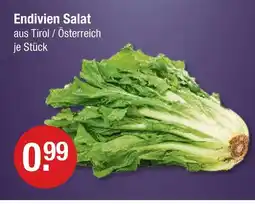 V Markt Endivien salat Angebot