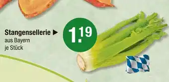 V Markt Stangensellerie Angebot