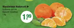 V Markt Mandarinen nadorcott Angebot