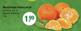 V Markt Mandarinen nadorcott Angebot
