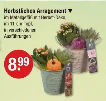 V Markt Herbstliches arrangement Angebot