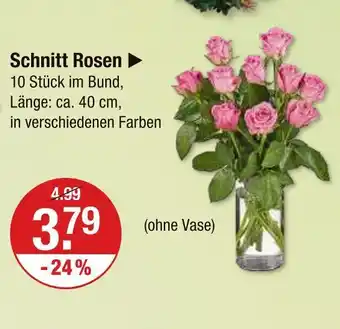 V Markt Schnitt rosen Angebot