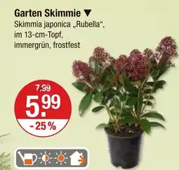 V Markt Garten skimmie Angebot