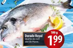Famila Nord Ost Dorade Royal Angebot