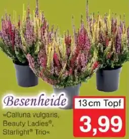 Jawoll Besenheide Angebot