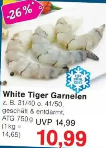 Jawoll White Tiger Garnelen Angebot