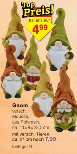 Jawoll Gnom Angebot