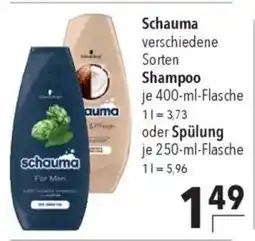 CITTI Markt Schauma Shampoo oder Spülung Angebot