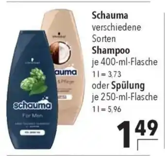 CITTI Markt Schauma Shampoo oder Spülung Angebot