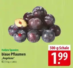 Famila Nord Ost blaue Pflaumen ,,Angeleno" Angebot