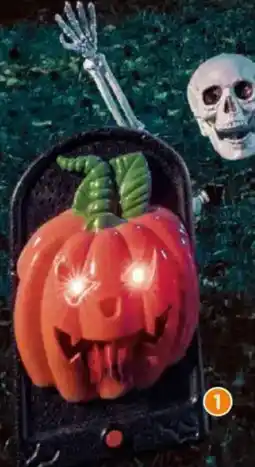 Famila Nord Ost Türklingel Halloween Angebot