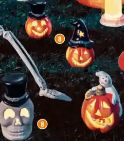 Famila Nord Ost LED-Halloween-Dekowindlichter Angebot