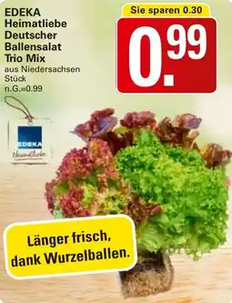 WEZ EDEKA Heimatliebe Deutscher Ballensalat Trio Mix Angebot