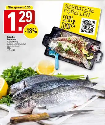WEZ Frische Forellen Angebot