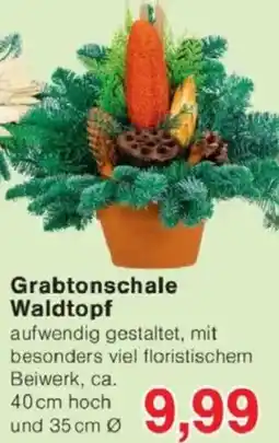Jawoll Grabtonschale Waldtopf Angebot