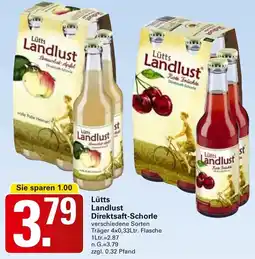 WEZ Lütts Landlust Direktsaft-Schorle Angebot