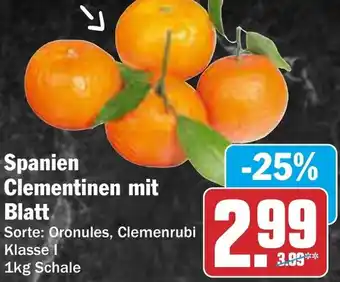 AEZ Spanien Clementinen mit Blatt Angebot