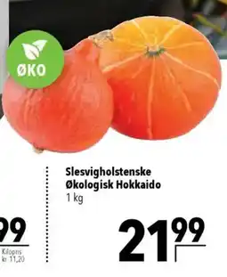 CITTI Markt Slesvigholstenske Økologisk Hokkaido Angebot